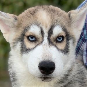 Meet your Posher, Deborah